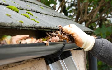 gutter cleaning Llanwrin, Powys