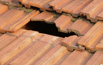 roof repair Llanwrin, Powys